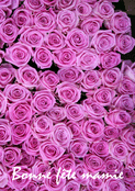 Roses roses pour une mamie ador&eacute;e